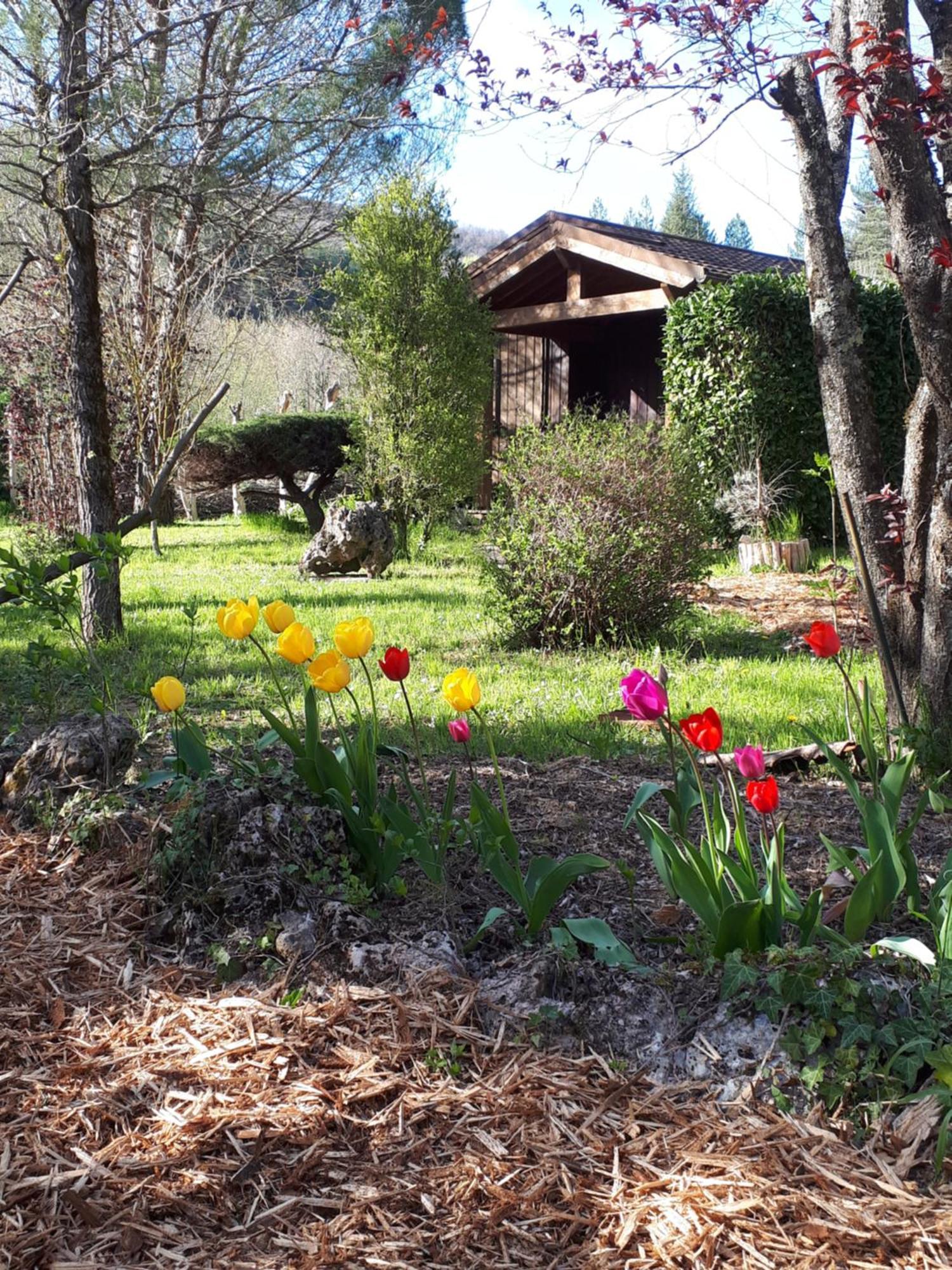 Les Chalets Du Roc Alzon 외부 사진